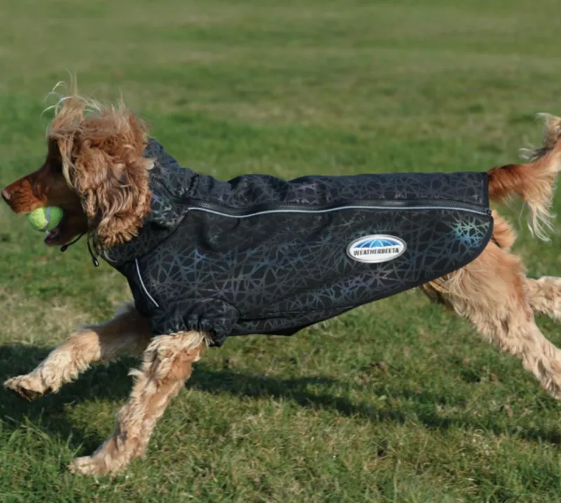 Weatherbeeta Comfitec Reflective Print Active Dog Coat Black/Reflective Rainbow